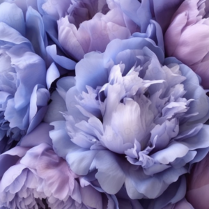 紫　花束 画像 無料 2